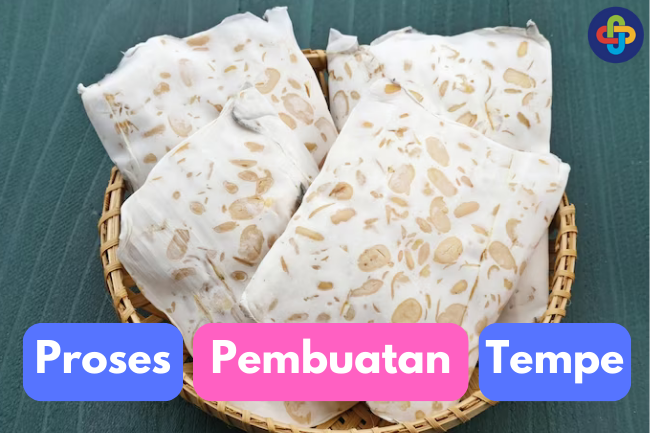 Cari Tau: Proses Pembuatan Tempe 